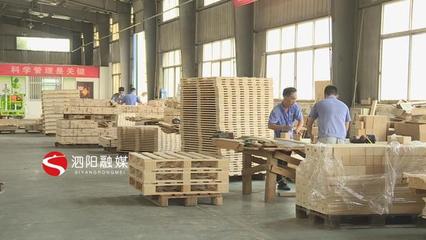 新袁鎮:嚴格對照標準做好木材加工和家具制造產業轉型升級